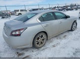 Nissan Maxima S/Sv 1N4AA5AP5CC828225 снимка