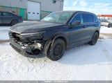 Honda Cr-V Lx 2HKRS4H29RH114836 снимка
