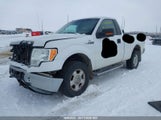 Ford F150 1FTMF1EF1DFB85987 fotografie