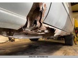 Chevrolet Silverado K1500 2GCEK19T441400298 снимка