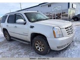 Cadillac Escalade Luxury 1GYFK63887R207289 снимка