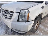Cadillac Escalade Luxury 1GYFK63887R207289 снимка