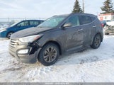 Hyundai Santa Fe Sport 5XYZUDLA9EG174559 fotografie