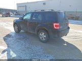Ford Escape Xlt 1FMCU93198KB74168 снимка