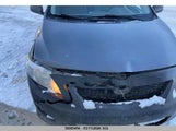 Toyota Corolla S/Le/Xle 2T1BU4EE6AC343170 снимка