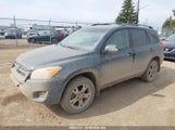 Toyota Rav4 2T3BF4DV1AW048835 fotografie