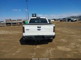 Ford F150 Supercrew 1FTFW1ET2DFD19873 fotografie
