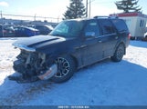 Ford Expedition Platinum 1FMJU1MTXFEF11970 снимка
