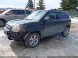 Hyundai Tucson Gl/Gls KM8JM72D28U730459 снимка