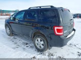 Ford Escape Xlt 1FMCU9DG7BKC55874 photo