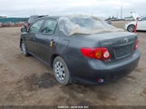 Toyota Corolla S/Le/Xle 2T1BU4EEXAC224554 fotografie