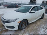 Honda Civic Lx 2HGFC2F52HH017195 снимка