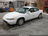 Pontiac Grand Prix Se 1G2WJ52K3VF264177 снимка