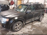 Ford Escape Xlt 1FMCU9D7XAKB73216 снимка