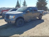 Ford F150 Supercrew 1FTFW1EV9AFD13680 снимка