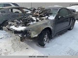 Ford Mustang Gt 1FAFP42X14F228685 снимка