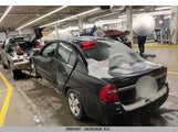 Chevrolet Malibu Lt 1G1ZT51846F177200 photo