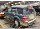 Ford Escape Xlt 1FMCU0DG8BKA89165 fotografie