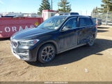 BMW X1 xDrive28I WBXJG9C04M5T88815 fotografie