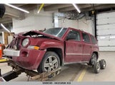Jeep Patriot Limited 1J8FF48W58D626651 снимка