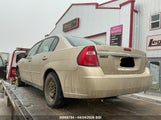 Chevrolet Malibu Ls 1G1ZS51F46F128581 снимка