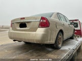 Chevrolet Malibu Ls 1G1ZS51F46F128581 снимка