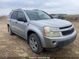 Chevrolet Equinox Ls 2CNDL23F366009775 снимка