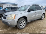Chevrolet Equinox Ls 2CNDL23F366009775 снимка