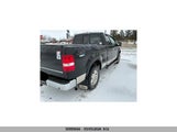 Ford F150 1FTPX145X4NA88554 снимка