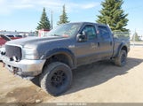 Ford F250 Super Duty 1FTNW21P43ED56194 photo