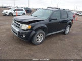 Ford Escape Limited 1FMCU94G69KC29423 снимка