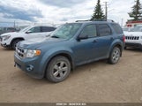 Ford Escape Xlt 1FMCU9DG8CKA60593 снимка