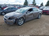 Chevrolet Malibu 1Lt 1G1ZC5E0XAF243732 снимка