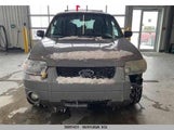 Ford Escape Xlt 1FMYU93117KB23820 снимка