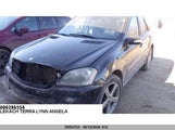 Miniaturka zdjęcia 11