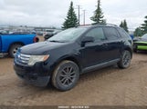 Ford Edge Sel 2FMDK48C78BA73048 fotografie