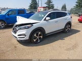 Hyundai Tucson Limited/Sport And Eco/Se KM8J3CA21HU459177 photo