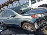 Honda Cr-V Exl 5J6RE4H71BL804949 снимка