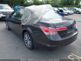 Honda Accord Exl 1HGCP2F86BA804271 photo