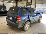 Ford Escape Xlt 1FMYU93107KB57067 снимка