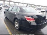 Honda Accord Exl 1HGCP36818A801938 снимка