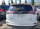 Toyota Rav4 JTMJJREV6JD236561 снимка