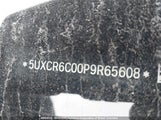 BMW X5 5UXCR6C00P9R65608 снимка