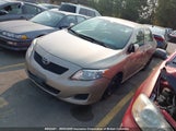Toyota Corolla S/Le/Xle 2T1BU4EE2AC213631 снимка