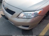 Toyota Corolla S/Le/Xle 2T1BU4EE2AC213631 снимка