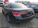Honda Accord Exl 1HGCP2F86BA800933 снимка