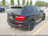 BMW X5 5UXFE43599L261051 photo