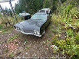 Buick Skylark 644439006053 photo