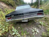 Buick Skylark 644439006053 photo
