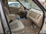 Ford Escape Xlt 1FMCU03Z28KC62173 снимка
